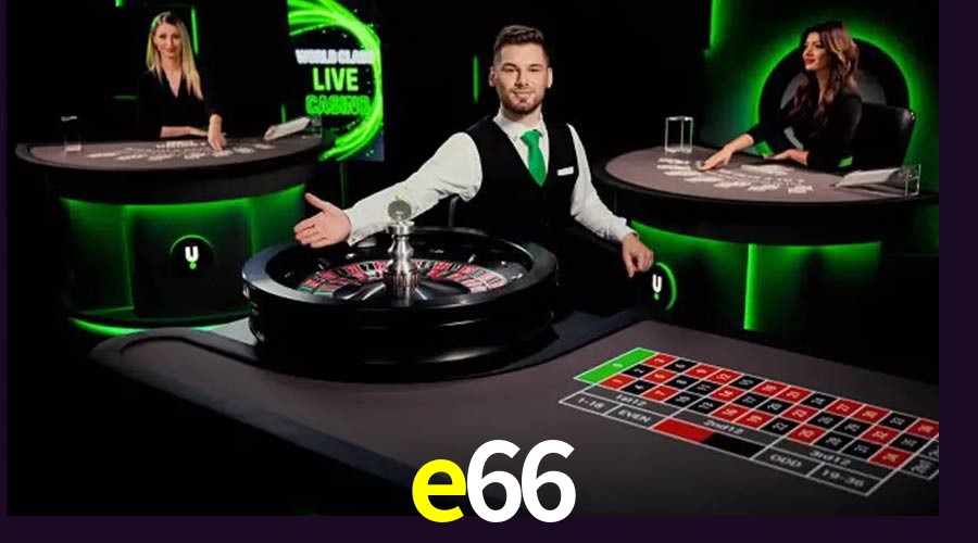 Exclusive Offers e66